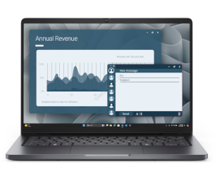 Dell Pro 14