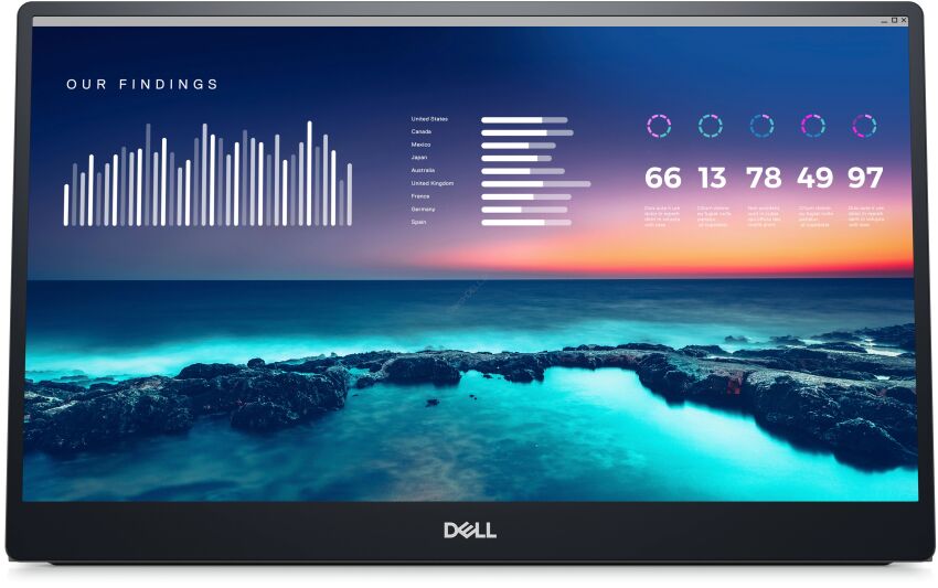 Dell Monitor P1424H 14