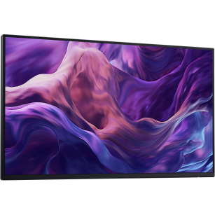 Monitor Dell Pro 24 Plus P2425H 24" bez podstawki (210-BMTB)