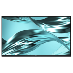 Monitor Dell Pro P24 - P2426H - bez podstawy (210-BVTG) - 2