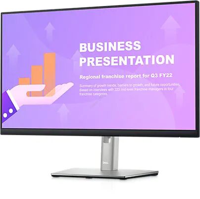 Dell Monitor P2422HE 24