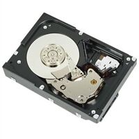 Dell Dysk twardy 1TB 7.2K RPM SATA 6Gbps 3.5in Cabled Hard Drive (400-APEH)