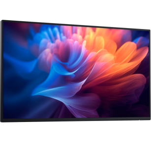 Monitor Dell Pro 27 Plus P2725H 27" bez stopki (210-BMGD)