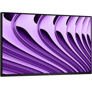 Monitor Dell Pro P24 - P2426HE - bez podstawy (210-BVKR)