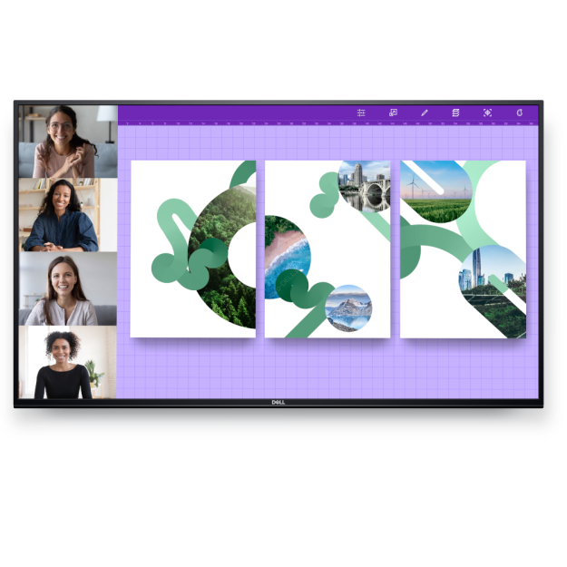 Monitor Dell P5524Q (210-BJKC)