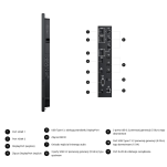 Monitor Dell Pro 75 Plus 4K P7525QT 75